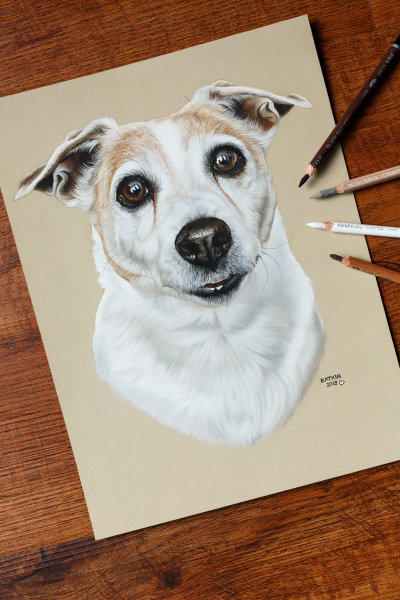 Jack Russell Terrier Bijou, 24x32 cm