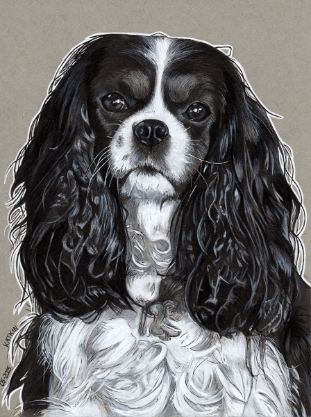 Ton in Ton Cavalier King Charles Spaniel, ca. A5