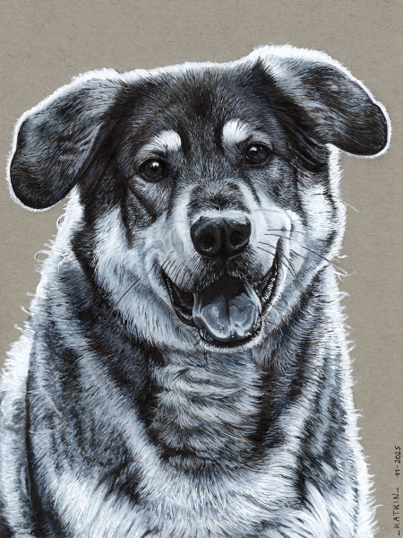 Ton in Ton Connor, ca. A5